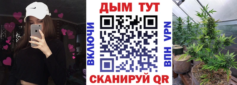 Где можно купить наркотики Снежногорск Конопля Кокаин МЕГА Гашиш СК
