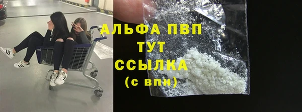 стафф Аркадак