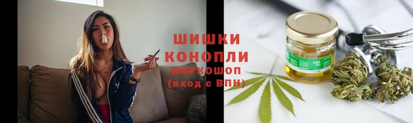 трава Арсеньев