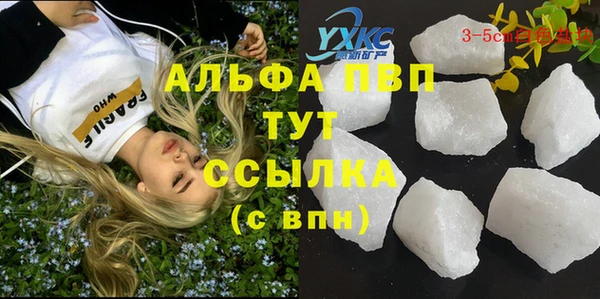 стафф Аркадак