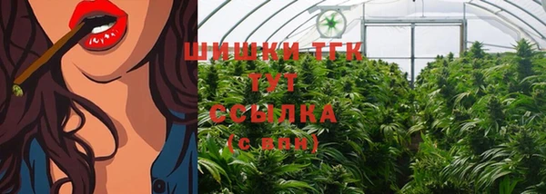 стафф Аркадак